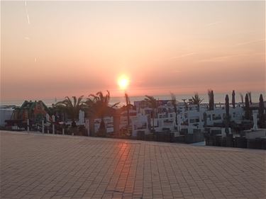Groeten uit Blankenberge - Beringen