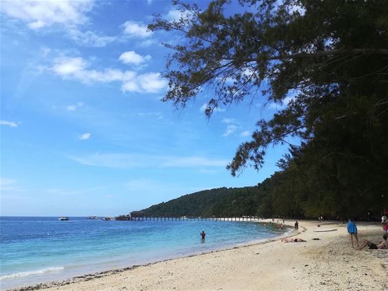 Vakantiegroeten uit Borneo - Hamont-Achel