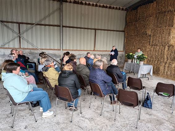 Grote belangstelling voor kruisdagen Grote Heide - Pelt