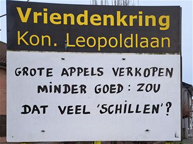 Grote en kleine appels op de Leopoldlaan - Lommel