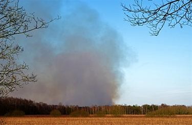 Grote heidebrand vlak over de grens - Lommel & Pelt