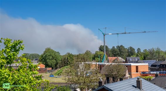 Grote natuurbrand in Weert - Pelt