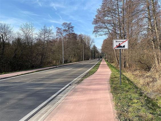 Haag tussen Peerderbaan en fietspaden - Oudsbergen