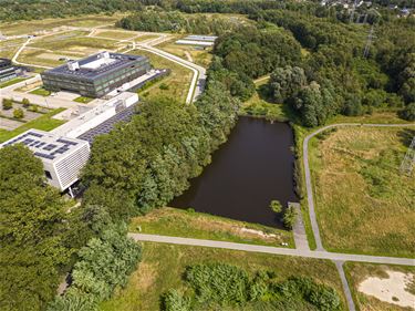 Haalbaarheidsonderzoek naar vrije zwemzone - Genk