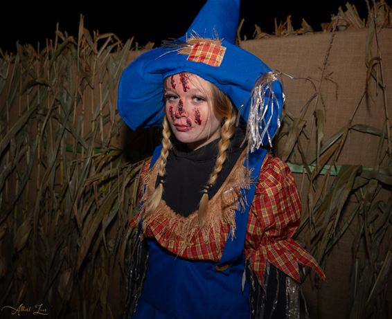 Halloween in Bree: griezelen, speuren en smullen!