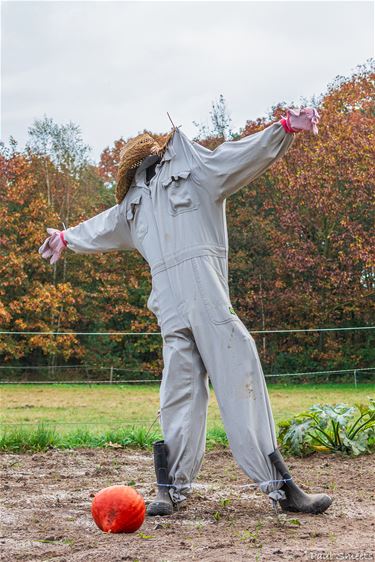 Halloween, of een vogelverschrikker - Pelt