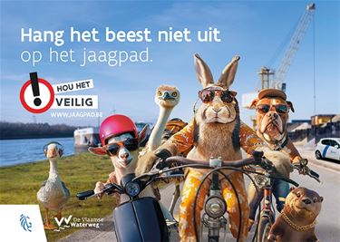 Hang het beest niet uit op het jaagpad! - Beringen & Leopoldsburg