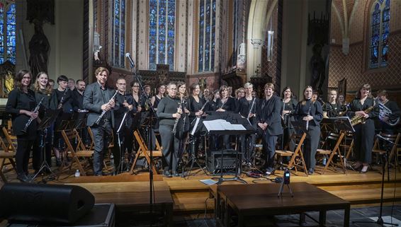 Harmonie in de kerk. Droom je het park erbij? - Lommel