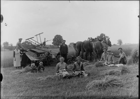 Haver oogsten in de jaren '30 - Oudsbergen