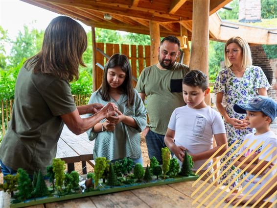 Heempark organiseert luisterwandeling - Genk