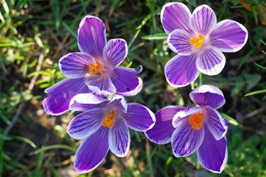 Heerlijk lenteweer - Beringen & Leopoldsburg