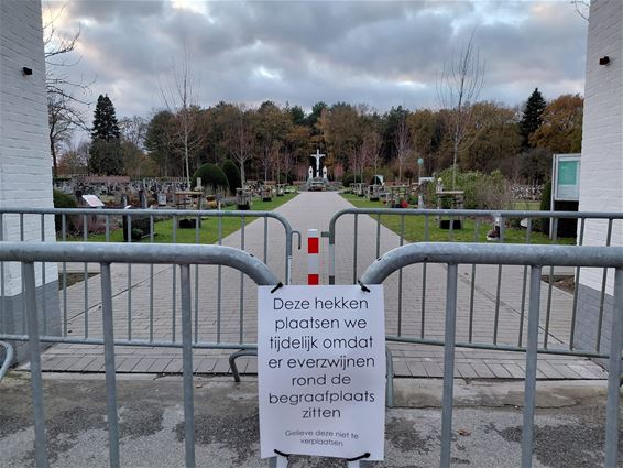 Hekken tegen everzwijnen - Beringen