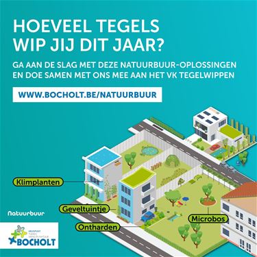 Help jij Bocholt met het tegelwippen?