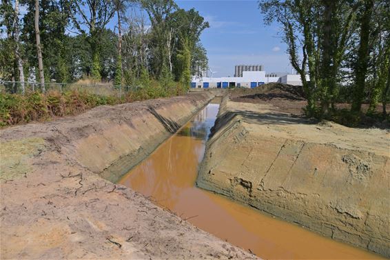 Heraanleg beek - Beringen