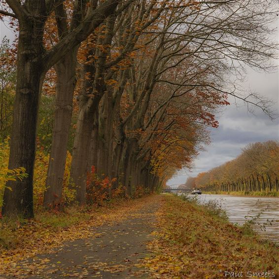Herfst aan het kanaal - Pelt