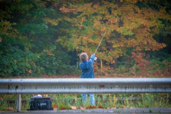 Herfst, door de lens van Leon - Lommel