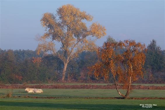Herfst in Hamont-Achel - Hamont-Achel