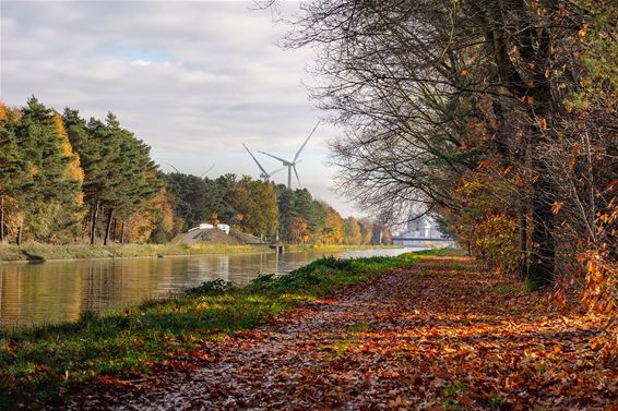 Herfst toont zich weer van haar fotogeniekste kant - Lommel