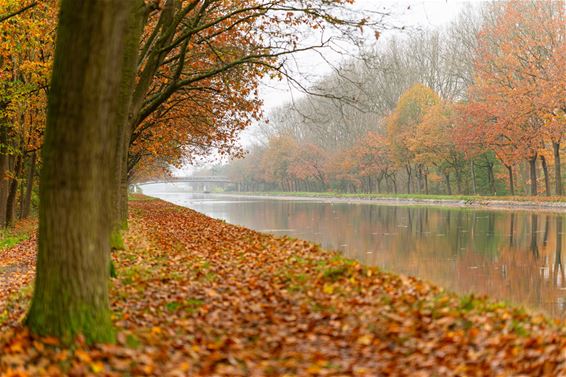 Herfst, wat een kleurenpracht! - Lommel