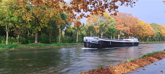 Herfstbui boven het kanaal in Pelt - Pelt