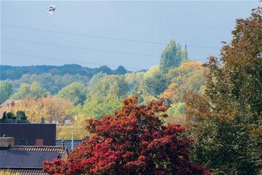 Herfstimpresssies - Beringen