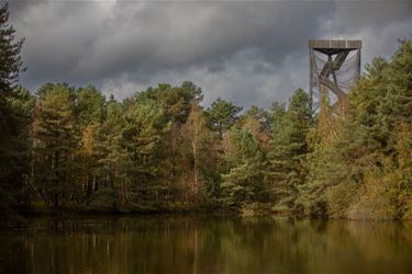 Herfstwandeling Sahara met N-VA - Lommel