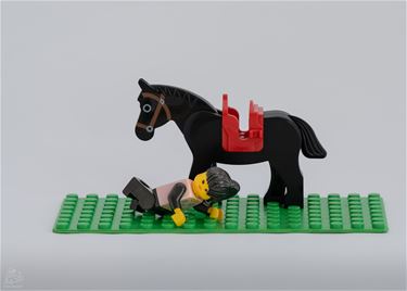 Herken jij het spreekwoord? (10)