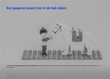 Pelt - Herkende jij het spreekwoord? (14)