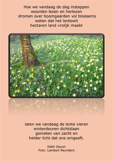 Het begin van de lente - Beringen & Leopoldsburg