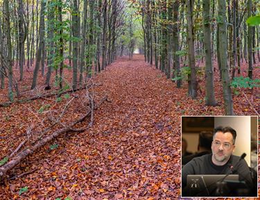 Het beheer van bossen en natuurgebieden - Hamont-Achel