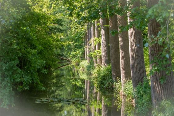 Het biotoop van Leon - Lommel