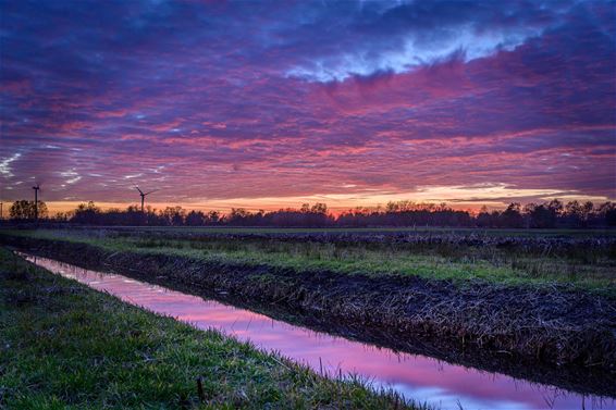 Het blauwe uurtje... - Pelt