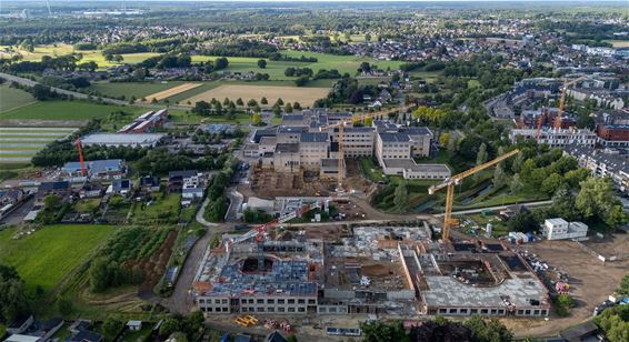 Het gaat vooruit - Pelt