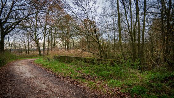 Het Hageven: elke maand anders (dec '24) - Pelt