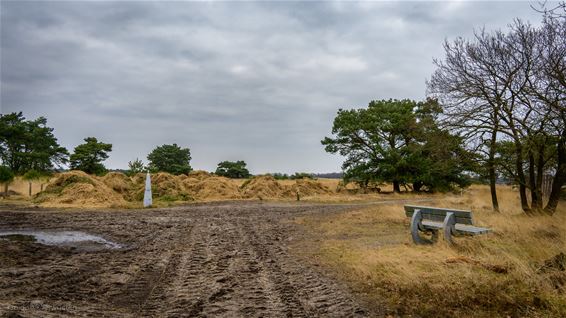 Het Hageven: elke maand anders (febr '25) - Pelt