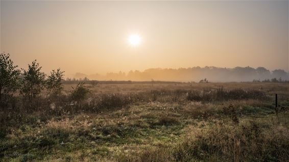 Het Hageven: elke maand anders - Pelt