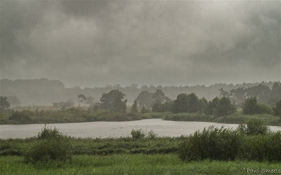 Het Hageven in de regen - Pelt