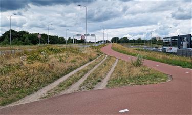 Het olifentenpaadje