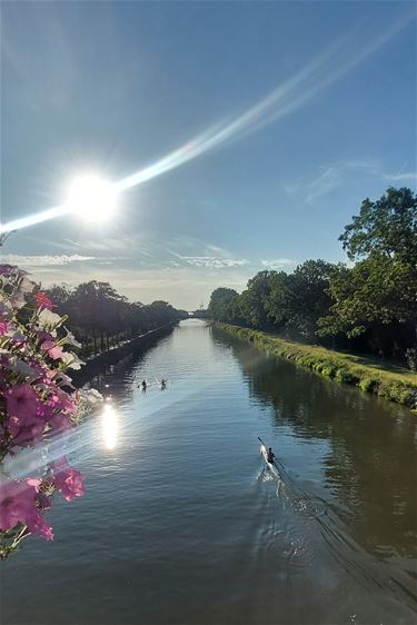 Het weer voor vandaag, donderdag 29 augustus - Pelt