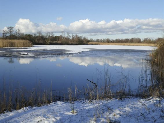 Het wintert in Lommel - Lommel