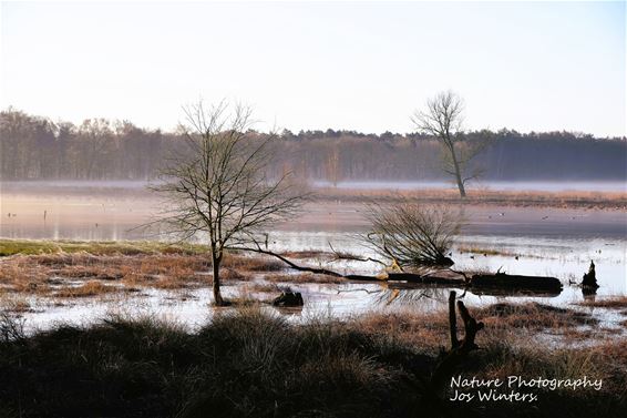 Het ‘Zwart Water’ baadt weer in licht en leven - Hechtel-Eksel