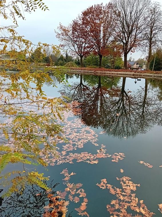 Hoe mooi kan de herfst zijn? - Pelt