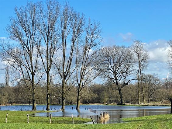 Hoge waterstanden - Beringen