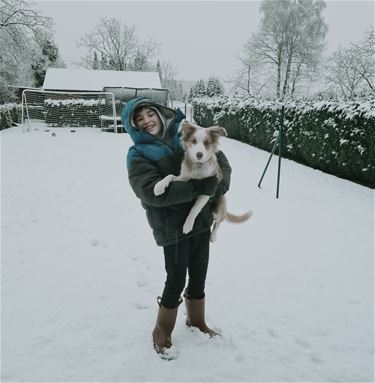Hond in de sneeuw - Beringen