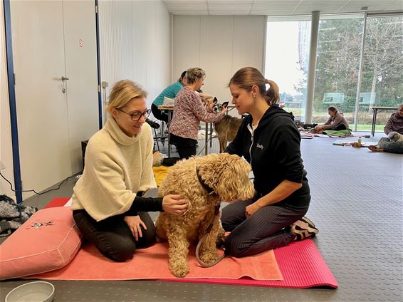 Beringen - Honden genieten van een heerlijke massage