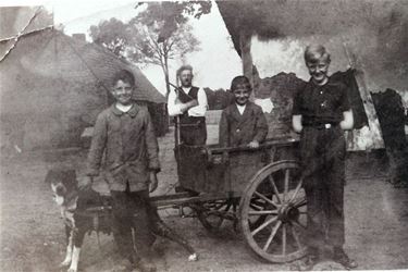 Honden ingezet voor goederenvervoer - Oudsbergen