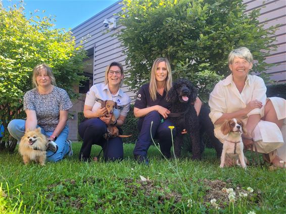 Honden vandaag welkom op het politiebureau - Beringen