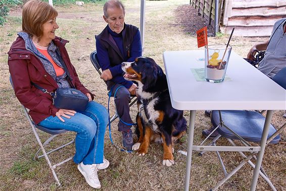 Beringen - Hondenbar pop-upcafé komt naar Koersel