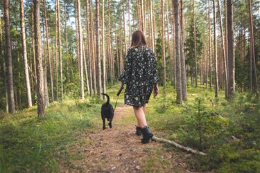 Oudsbergen - Hondenwandeling in de bossen