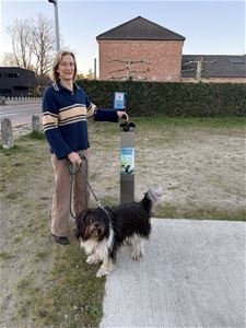 Leopoldsburg - Hondepoepzuilen geplaatst